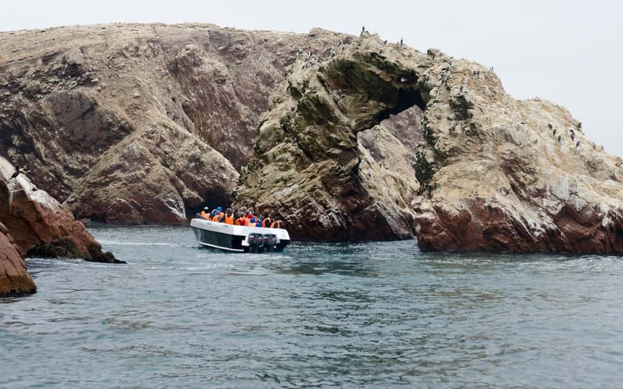From Huacachina: Ballestas and Paracas Reserve - GROUP TOUR - Ballestas Islands speedboat: sea lions and penguins up close