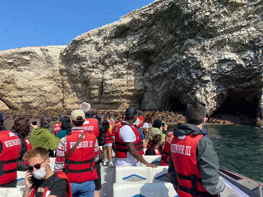 From Huacachina: Ballestas and Paracas Reserve - GROUP TOUR - Price and value: the $40 base is only part of your budget