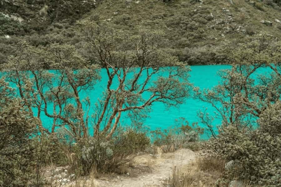 From Huaraz: Tour to Llanganuco Lakes (Chinancocha Lake) - Lunch back on the practical track