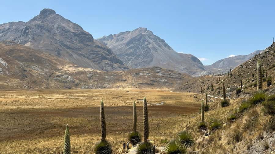 From Huaraz: Tour to the Pastoruri Glacier and Puya Raimondi - The glacier reality check: timing, weather, and what to plan for