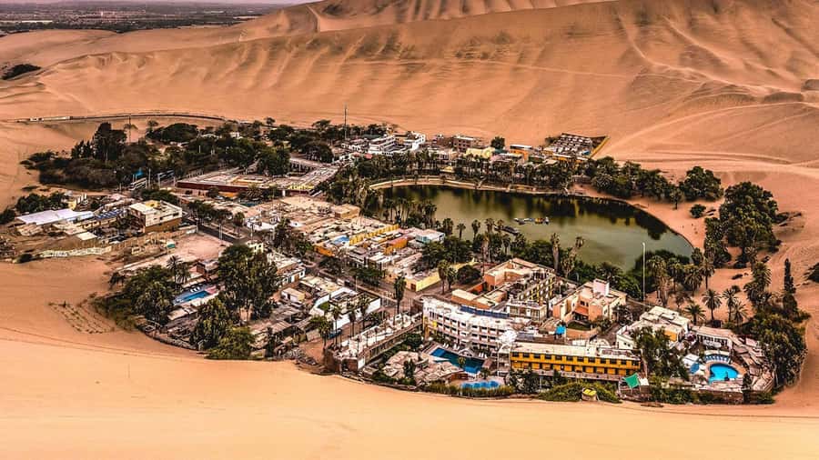 From Ica | Buggy excursion through the Huacachina Desert - Key things to know before you ride