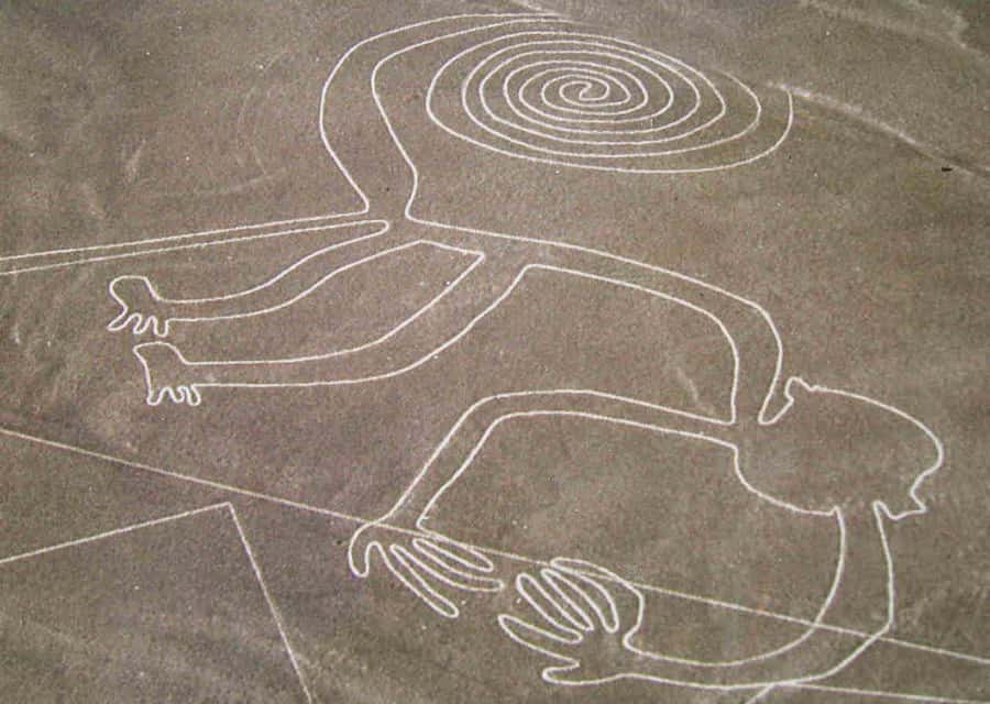 From Ica: Flight over the Nazca Lines - The 35-minute flight over Nazca geoglyphs, figure by figure