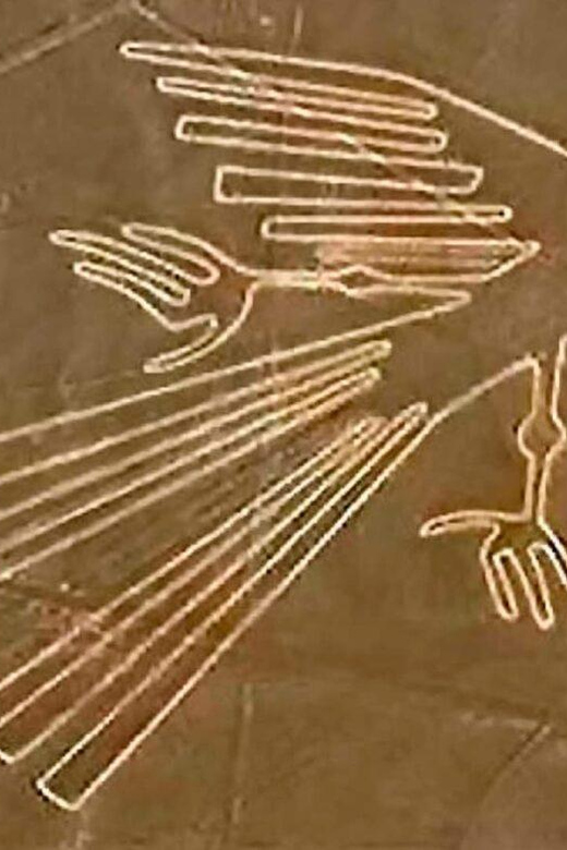 From Ica: Flight over the Nazca Lines - Who this Nazca flight suits best