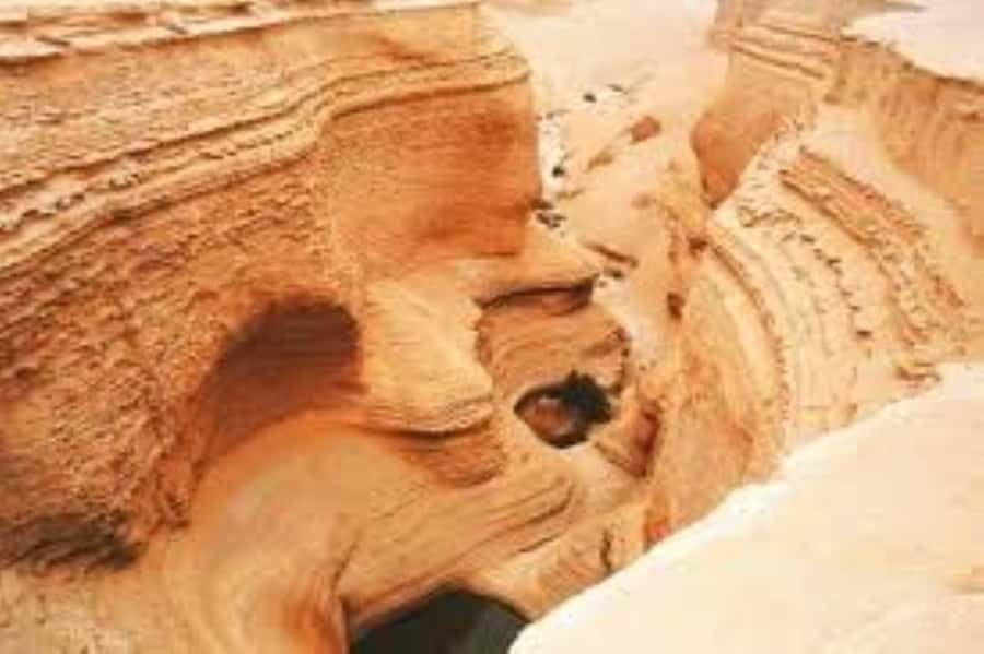 From Ica || Full Day Excursion to Los Perdidos Canyon || - Scenic photo stops that turn the road into a mini art gallery