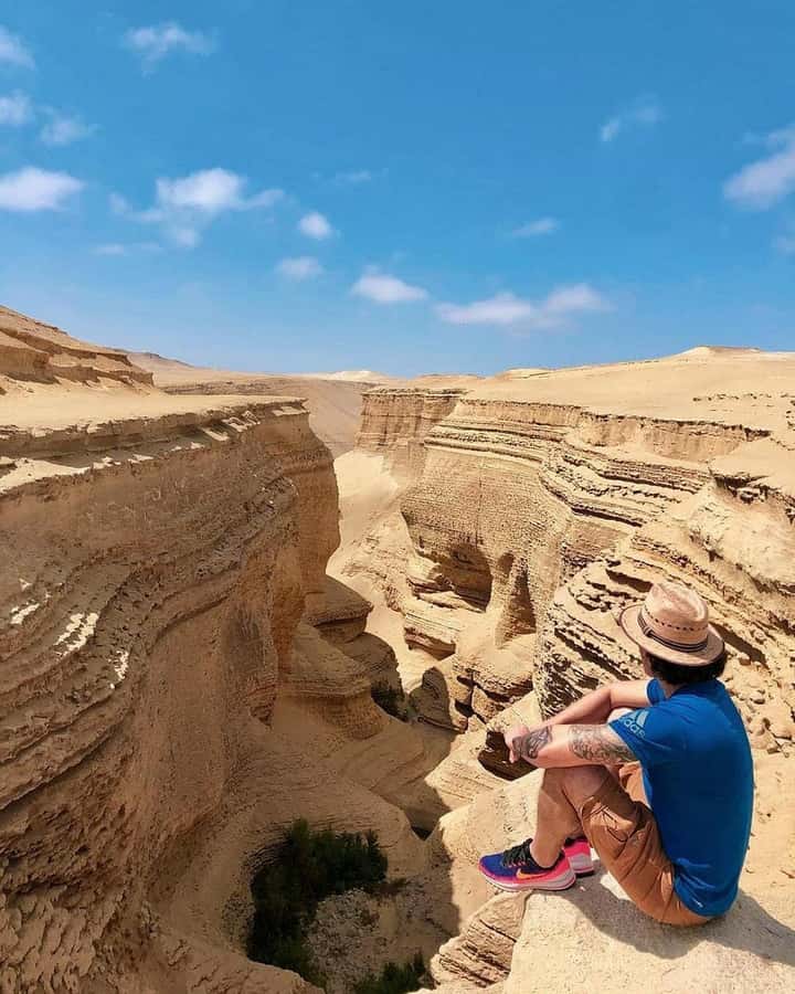 From Ica | Huacachina : Canyon de Los Perdidos | Full Day - Desert Details You Can Actually Notice