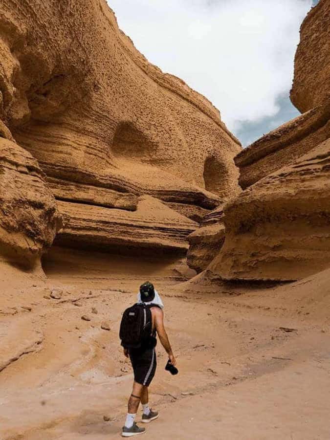 From Ica | Huacachina : Canyon de Los Perdidos | Full Day - The Winery Stop in Ica: Pisco and Artisanal Wine Break