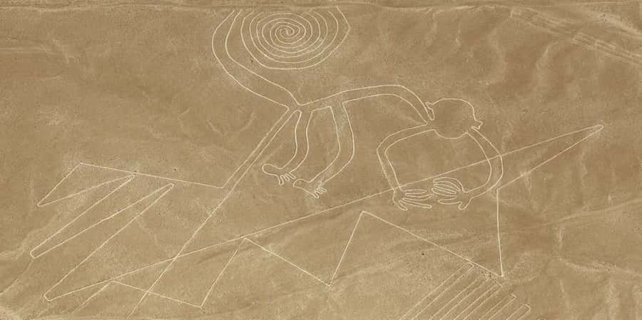 From Ica or Huacachina: Flight Tour Nazca Lines | Overflight - The 35-Minute Overflight, Window Seats, And Up To 18 Figures