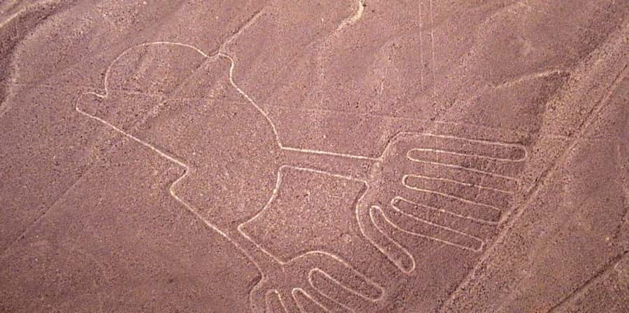 From Ica or Huacachina: Flight Tour Nazca Lines | Overflight - Price And Value: Is $259 A Good Deal For This Nazca Flight?