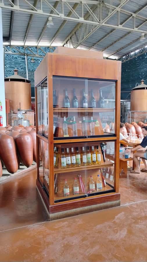 From Ica or Huacachina: Tour to Tacama Vineyard and Artisanal Winery. - What to bring and what rules matter before you go
