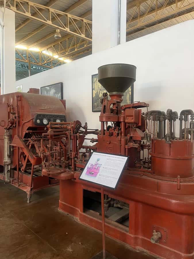 From Ica or Huacachina: Tour to Tacama Vineyard and Artisanal Winery. - Who this tour suits best (and who might want to pick something else)