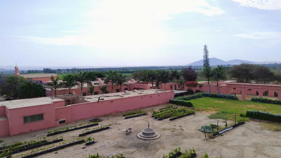 From Ica or Huacachina: Tour to Tacama Vineyard and Artisanal Winery. - Should you book the Tacama and artisanal winery tour?