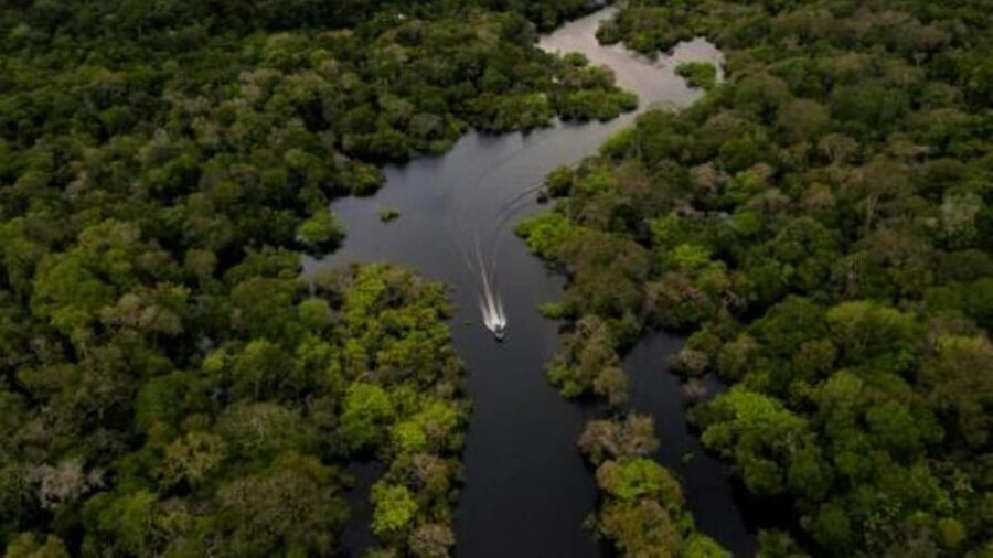 From Iquitos: 3-Day Amazon Jungle Adventure Trip - Guides, Wildlife Spotting, and Why the Right Local Matters
