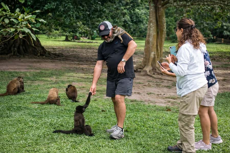 From Iquitos: 3-Day Amazon Jungle Adventure Trip - Day 1 Night Excursion: Tarantulas, Snakes, and Jungle Insects