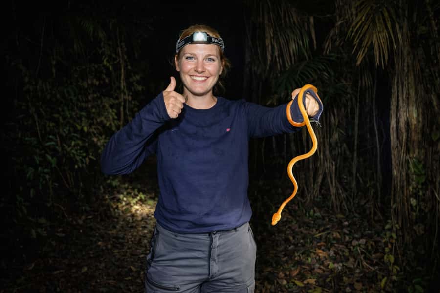 From Iquitos: 3-Day Amazon Jungle Adventure Trip - Botanical Plant Walks, Lianas, and the Tribe Connection on Day 3