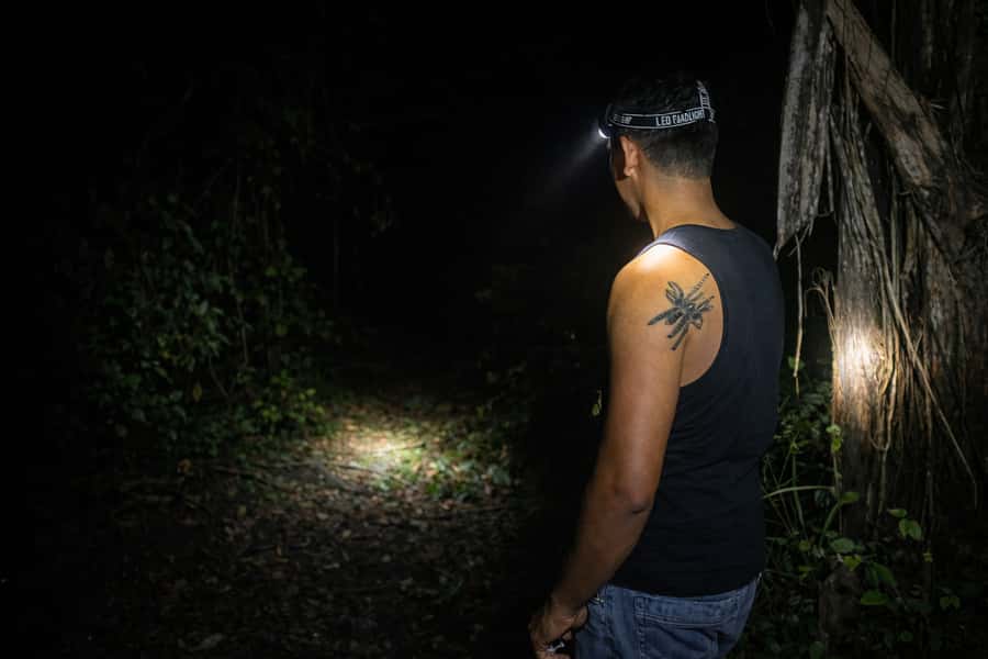 From Iquitos: 3-Day Amazon Jungle Adventure Trip - Accommodation, Meals, and the Reality of Jungle Comfort