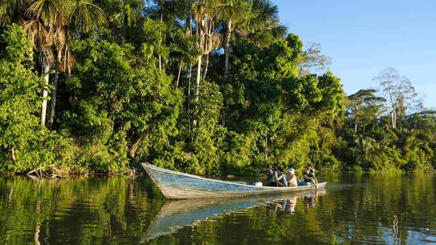 From Iquitos: Full day tour in the Peruvian jungle - Key things to notice before you go