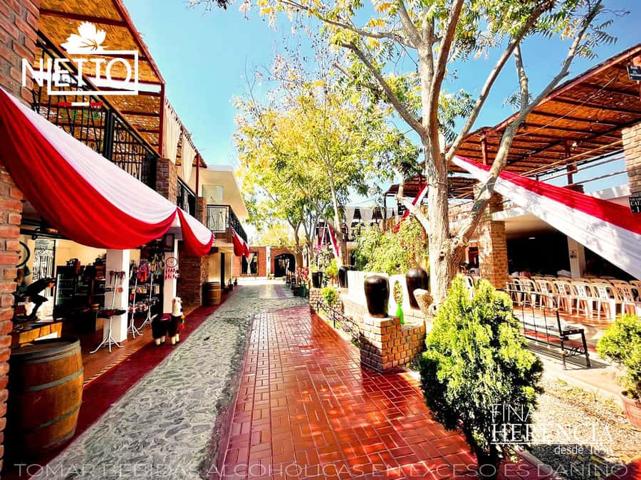 From Lima 2 days 1 night, Ballestas,Huacachina & Nazca lines - Day two: the airport transfer at 10:00 a.m. and your Nazca flight setup