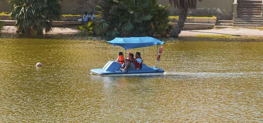 From Lima: Ballestas Islands and Huacachina Sunset Day Trip - What the guides and comfort details mean for your day