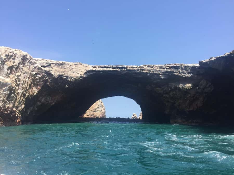 From Lima: Ballestas Islands, Huacachina, and Vineyard Tour - Small-Group Comfort and the Return to Lima