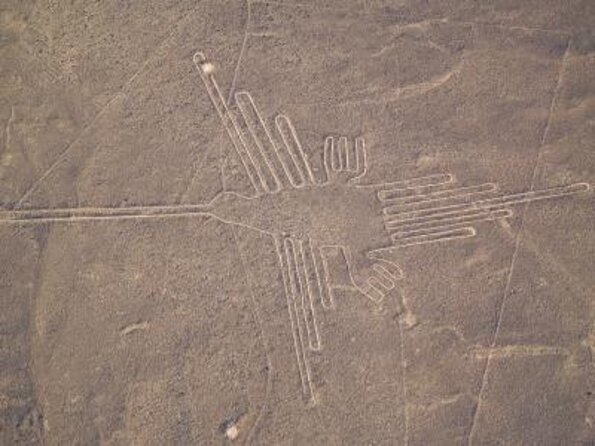 From Lima: Ballestas, Nazca Lines & Huacachina Oasis - Islas Ballestas by Speedboat: Wildlife Viewing With Real Excitement