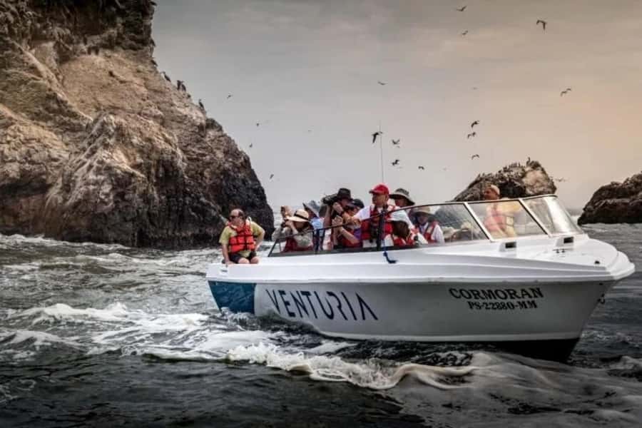 From Lima: Day trip to Paracas, Ica and Oasis Huacachina - Huacachina Oasis: buggy ride top to bottom, then sandboarding