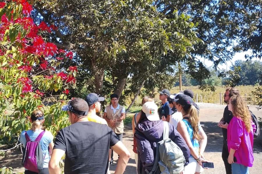 From Lima: Day trip to Paracas, Ica and Oasis Huacachina - Bus comfort and motion tips for a 17.5-hour day