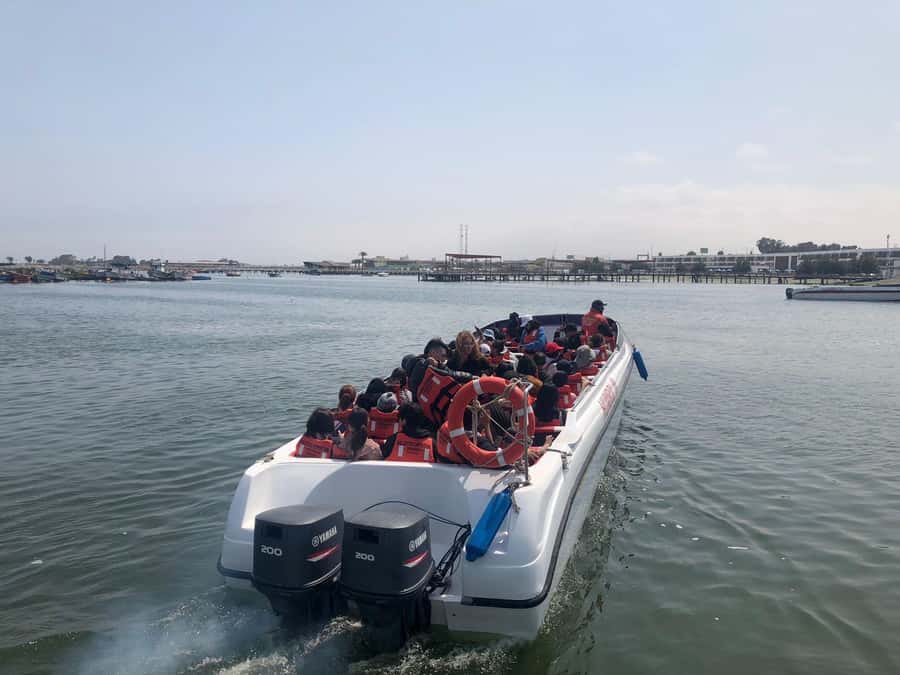 From Lima: Day Trip to Paracas, Ica & Oasis Huacachina - Marina pier to SERNANP control, then out to Ballestas Islands