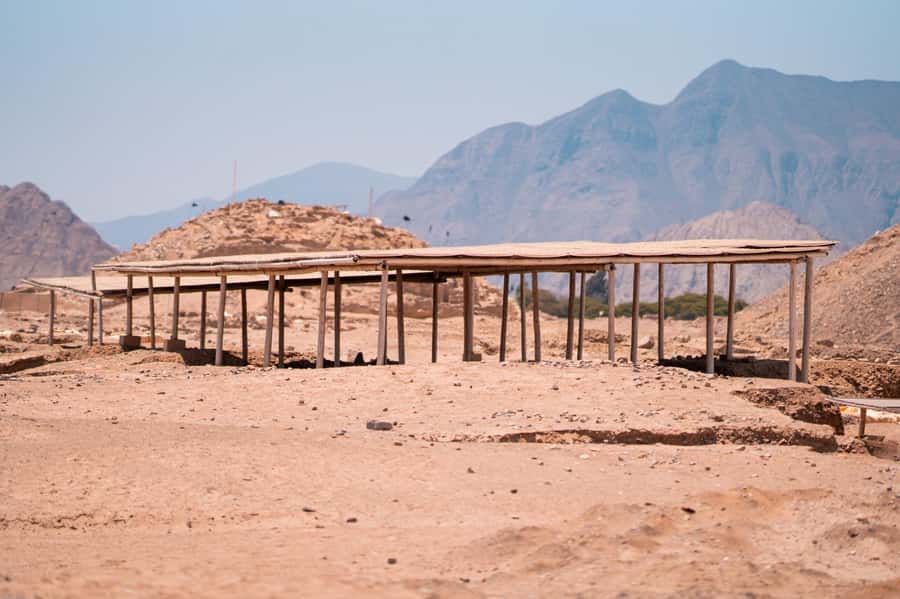 From Lima: Discover the Ancient Sites Caral & Bandurria - Should You Book This Caral and Bandurria Tour?