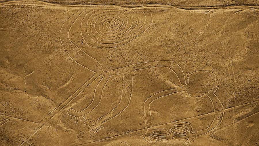 From Lima: Full day flight over in the Nazca Lines - Guides in the right places: English, Spanish, and how it affects your day