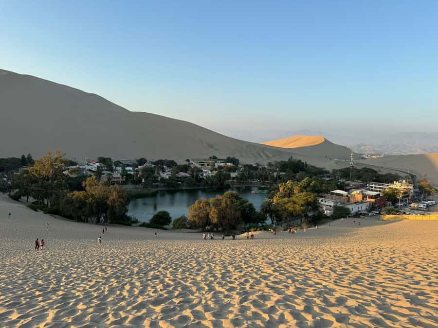 From Lima: Full Day Private All Inclusive Paracas, Ica. - From ocean cliffs to the pisco trail in CulturPisco, Ica