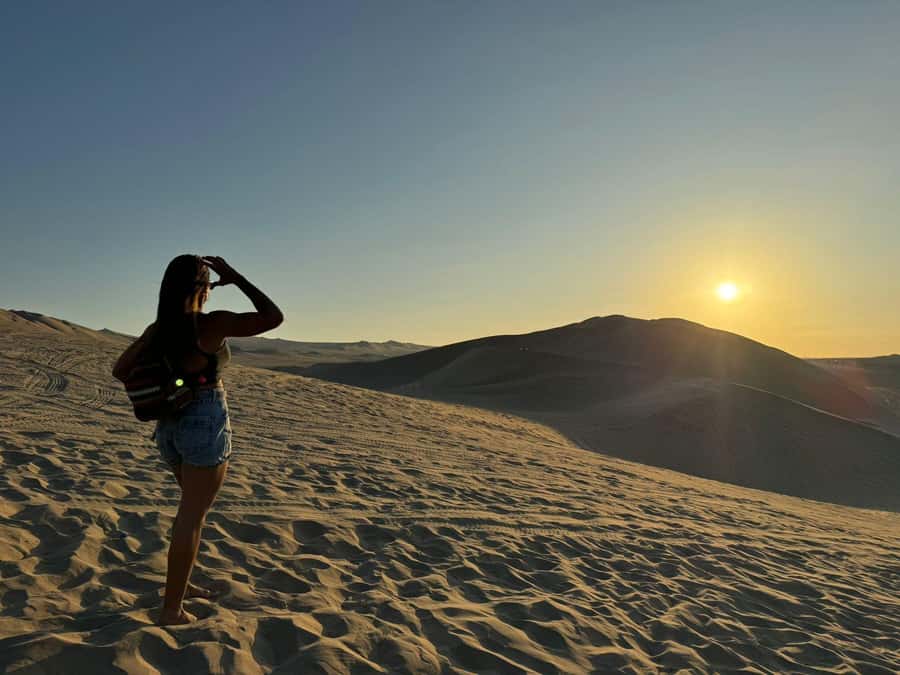 From Lima: Full Day Private All Inclusive Paracas, Ica. - The 3-hour private van ride, plus a quick reset stop