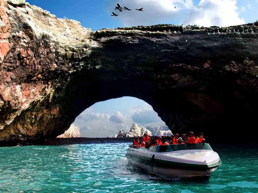 From Lima: Full Day to Paracas and Huacachina Desert Oasis - Should you book this Paracas and Huacachina day trip from Lima?