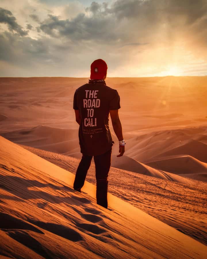 From Lima: Full Day to Paracas and Huacachina Desert Oasis - Islas Ballestas viewpoints: why this feels like a different world