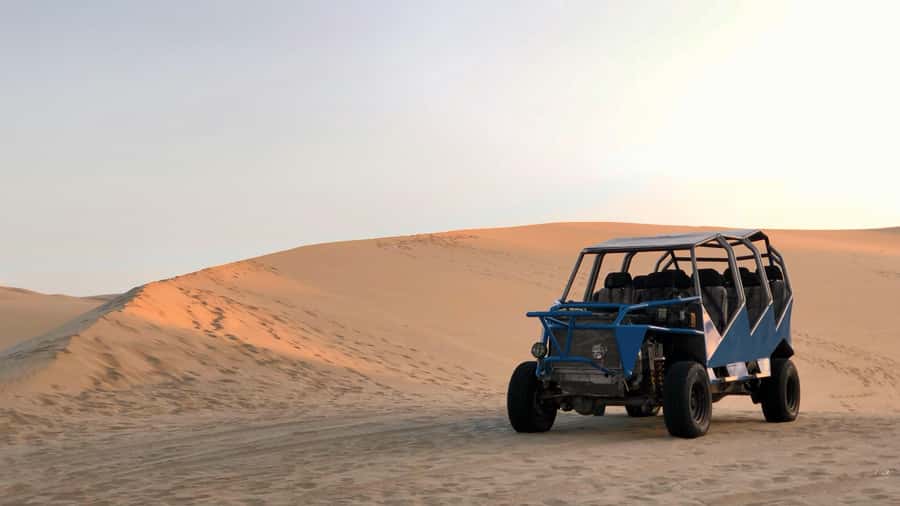From Lima: Full Day to Paracas and Huacachina Desert Oasis - NIETO winery and pisco tasting: the lesson part you will actually remember