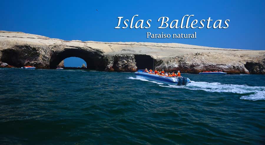 From Lima: Full Day Tour (Paracas + Huacachina) - Who should book this Paracas and Huacachina full day