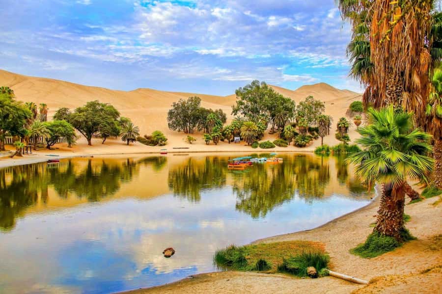 From Lima: Huacachina Oasis & Ballestas Island - ENGL / ESPA - Key highlights worth your attention