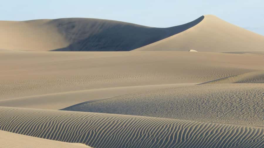 From Lima: Huacachina Oasis & Ballestas Island - ENGL / ESPA - What to bring so the day feels easy, not miserable