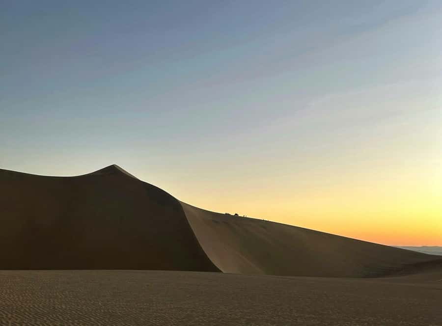 From Lima: Huacachina Oasis & Ballestas Island - ENGL / ESPA - Dune buggy and sandboarding in Huacachina: 45 minutes of controlled chaos