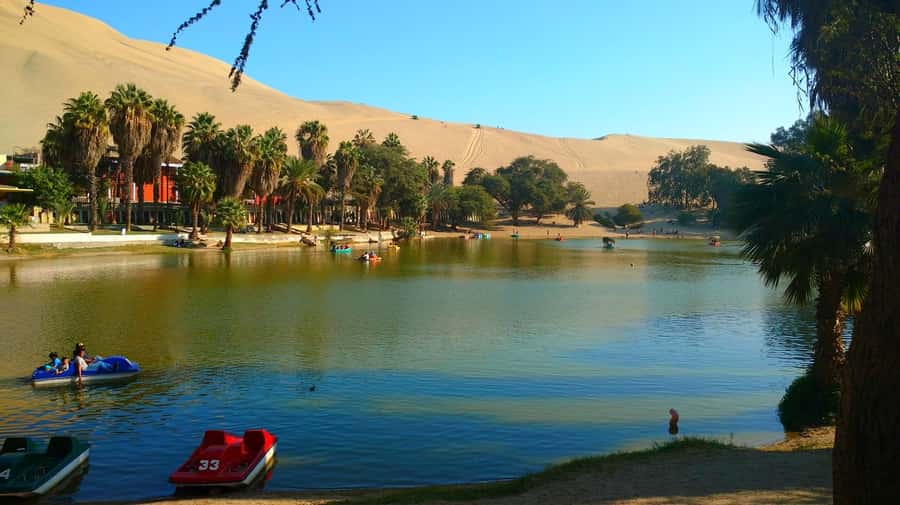 From Lima: Huacachina Oasis Tour, Winery & Desert Sunset - Winery and tastings in the Ica region: pisco and wine with a focus on the basics