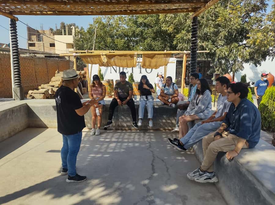 From Lima: Huacachina Oasis Tour, Winery & Desert Sunset - Timing gaps and how to avoid a rushed feeling