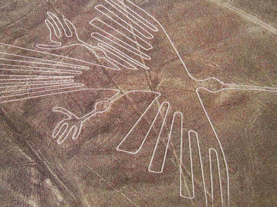 From Lima: Nazca Lines Flight with Huacachina Oasis Tour - What you’ll actually spot: hummingbird, monkey, and swirls