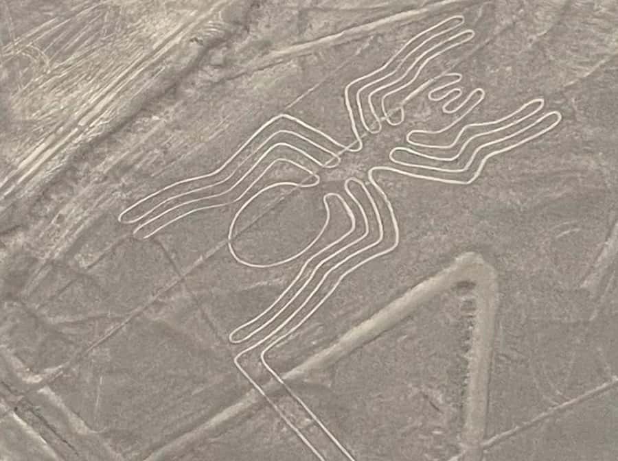 From Lima: Nazca Lines Flight with Huacachina Oasis Tour - What to bring: small items that prevent big annoyances