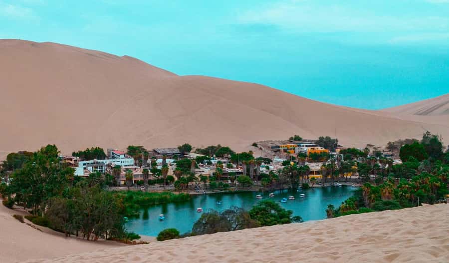 From Lima: Paracas and Huacachina Day Trip with Buggy Ride - Huacachina oasis free time before the dunes get loud