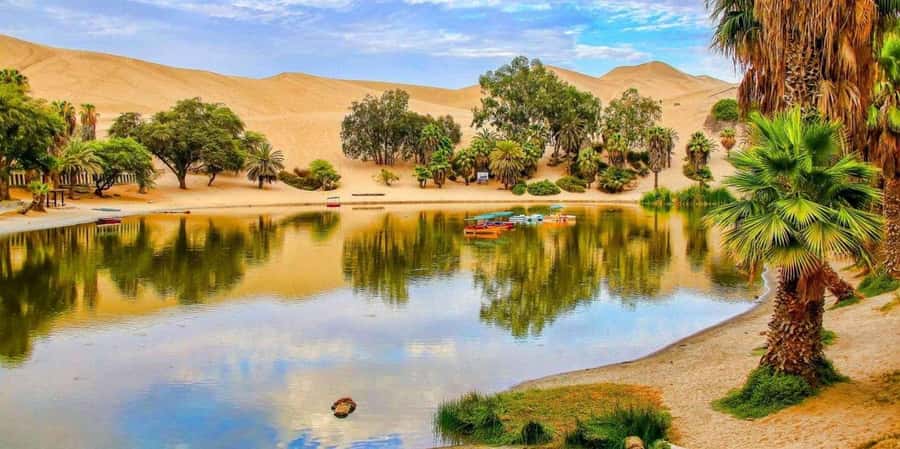 From Lima: Paracas and Huacachina Guided Desert Oasis Trip - Huacachina Lake Stroll Before the Dunes