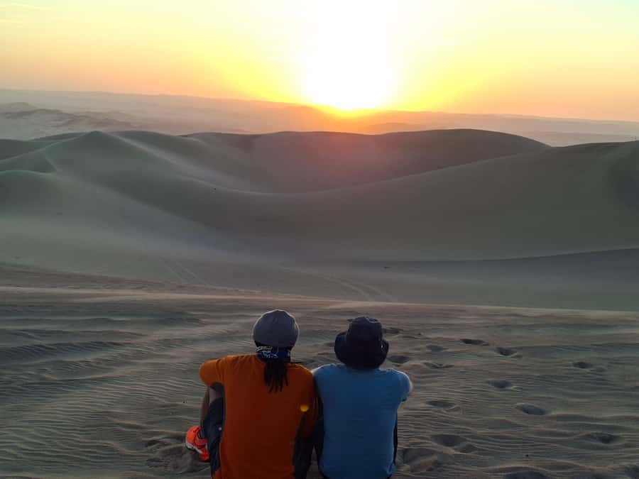 From Lima: Paracas and Huacachina Oasis Full Day Guided Tour - Ballestas Islands boat tour: the wildlife portion you will actually remember