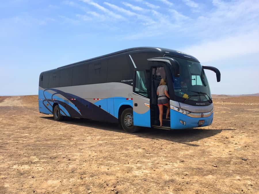 From Lima: Paracas and Huacachina Oasis Full Day Guided Tour - Who this tour fits best (and who should skip it)