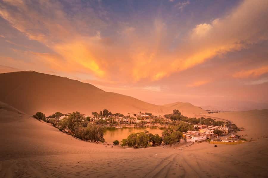 From Lima: Paracas and Huacachina Oasis Full Day Tour - Ballestas Islands boat tour: penguins, sea lions, and close-range bird life
