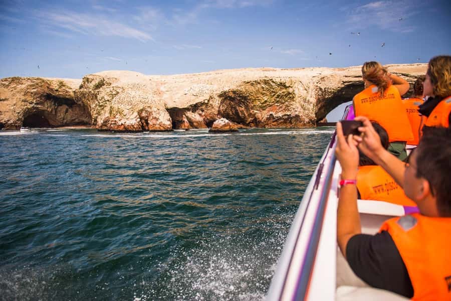 From Lima: Paracas and Huacachina Oasis Full Day Tour - Dune buggy and sandboarding: the adrenaline you paid for