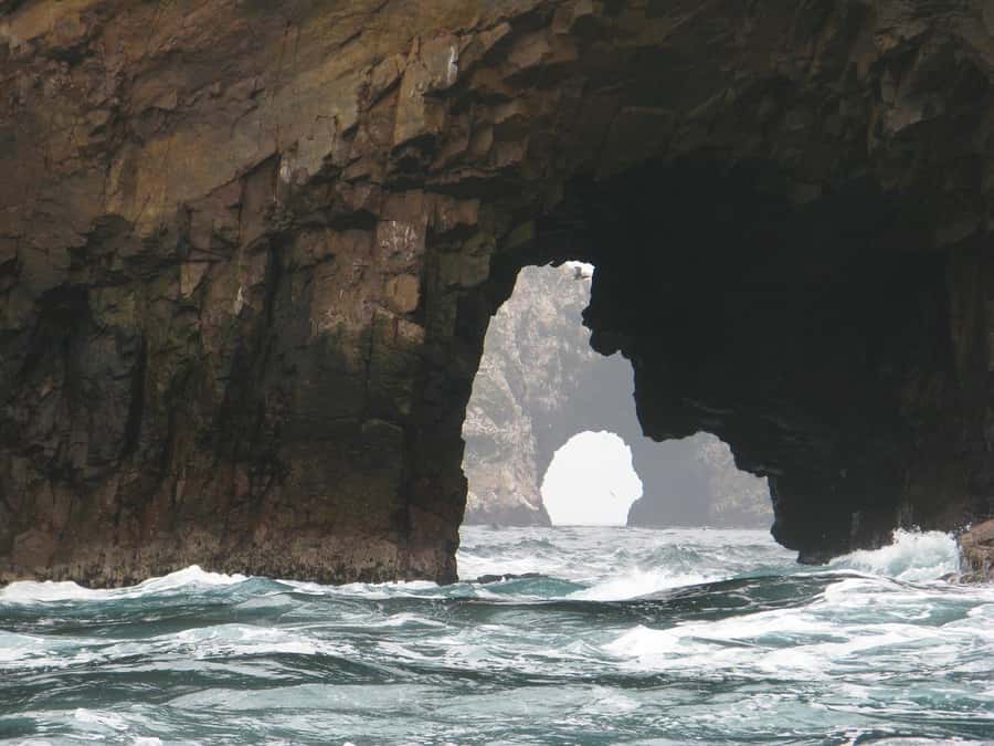 From Lima: Paracas and Huacachina Oasis Full Day Tour - Price and value: what $65 really buys