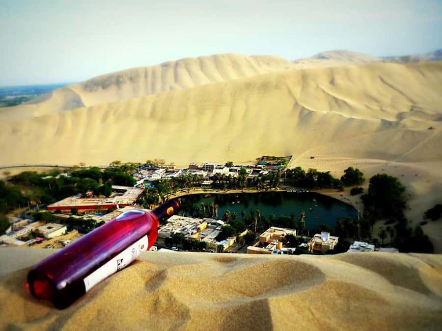 From Lima:Paracas Ballestas Islands and Ica Oasis 1 day Tour - Key points worth knowing